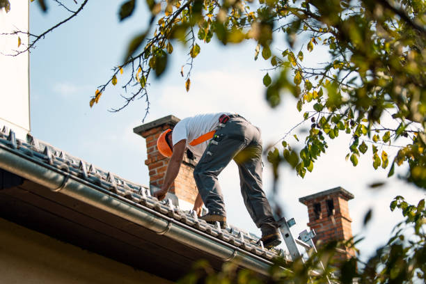 Best Storm Damage Roof Repair  in Vashon, WA